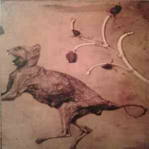 Gaj Mustafa Cell - Words FLAC