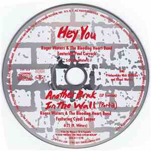 Roger Waters - Hey You / Another Brick In The Wall (Part 2) (LP Version) FLAC