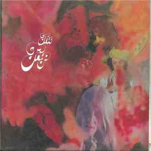 The Trip  - The Trip FLAC