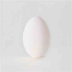 Wilco - A Ghost Is Born FLAC