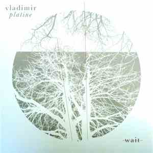 Vladimir Platine - Wait FLAC