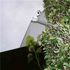 Christian Michael Filardo - Ennui Divine FLAC