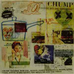 Chump Split Single With Reversing Hour - Strange / Soaking Wet And Somewhere FLAC