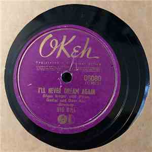 Big Bill Broonzy - I’ll Never Dream Again / That Number Of Mine FLAC