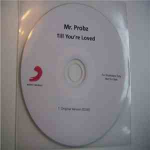Mr. Probz - Till You're Loved FLAC