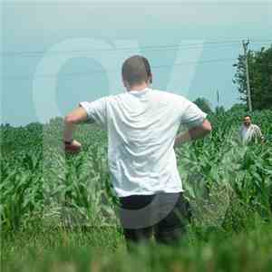 Ovlov - Am FLAC