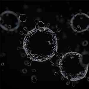 Q The Beat Boy & Haze Blazemore - Virus FLAC