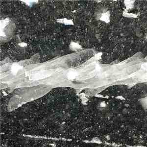 France Jobin - Singulum FLAC
