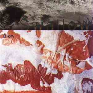 Swallow - Blow FLAC