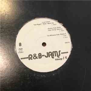 Various - R&B Jams Volume 14 FLAC