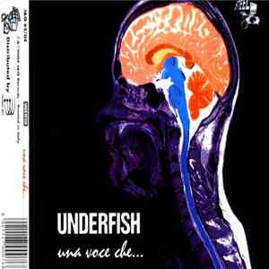 Underfish - Una Voce Che... FLAC