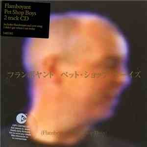 Pet Shop Boys - Flamboyant FLAC