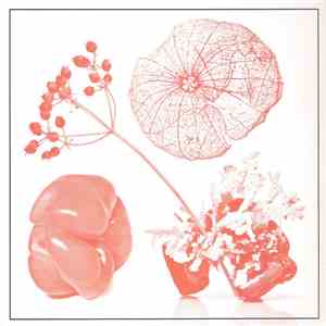 Starflyer 59 B/W Mike Adams At His Honest Weight - Like A Baby B/W Tasteful Nudes FLAC