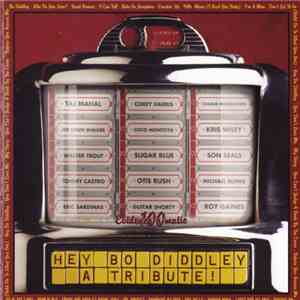 Various - Hey Bo Diddley - A Tribute ! FLAC