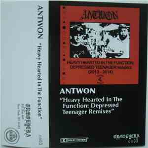 Antwon - Heavy Hearted In The Function: Depressed Teenager Remixes FLAC