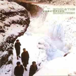 Echo & The Bunnymen - Porcupine FLAC