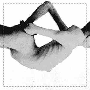 Full Of Hell / The Guilt Øf… - Full Of Hell / The Guilt Øf… FLAC