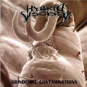 Hybrid Viscery - Grindcore Contaminations FLAC