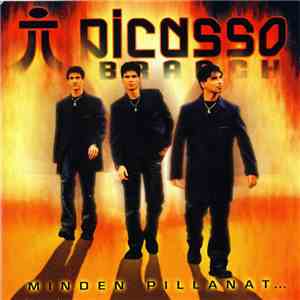 Picasso Branch - Minden Pillanat... FLAC