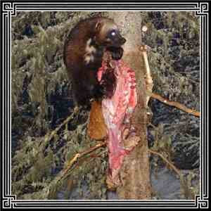 Satanic Warmaster - ...Of The Night FLAC