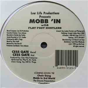 Mobb'in - Cess Gate / Society FLAC