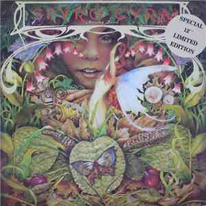Spyro Gyra - Morning Dance FLAC