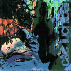 Chris & Cosey - C&C Luchtbal FLAC