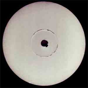 Elementz Of Noize - Instinct 2 / Psyke FLAC