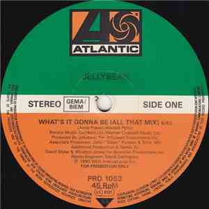 Jellybean - What's It Gonna Be FLAC
