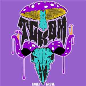 The Good Kind Of Mushroom - Enoki Grove FLAC