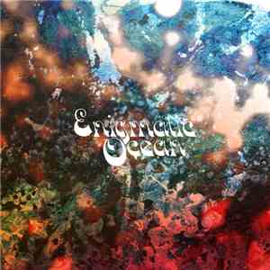 Damon Palermo - Enigmatic Ocean FLAC