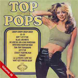 Unknown Artist - Top Of The Pops Vol. 18 FLAC