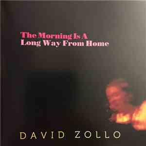 David Zollo - The Morning Is A Long Way From Home FLAC