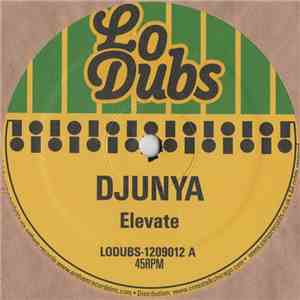 Djunya - Elevate FLAC