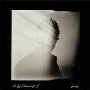 Doyle Bramhall II - Shades FLAC