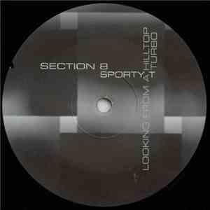 Section 8  / Sporty T - Looking From A Hill Top / Turbo FLAC