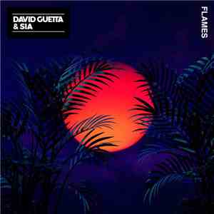 David Guetta & Sia - Flames FLAC