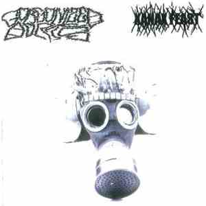 Gorgonized Dorks / Xanax Feast - Gorgonized Dorks / Xanax Feast FLAC