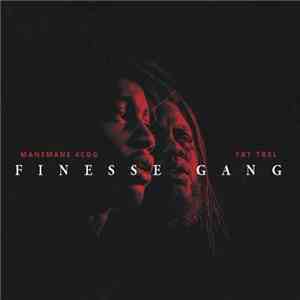 ManeMane & Fat Trel - Finesse Gang FLAC
