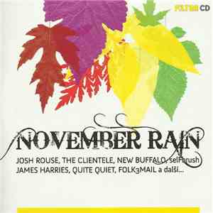Various - November Rain FLAC