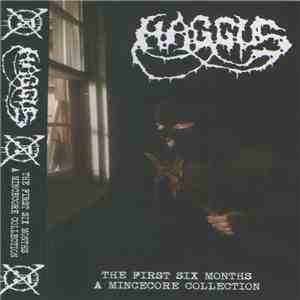 Haggus - The First Six Months A Mincecore Collection FLAC