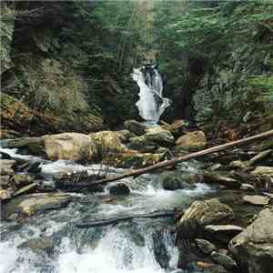 shiver. - Evergreen FLAC