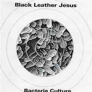 Black Leather Jesus - Bacteria Culture FLAC