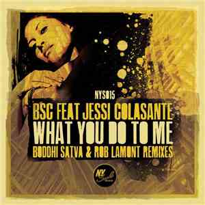 BSC feat. Jessi Colasante - What You Do To Me FLAC