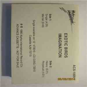 Exotic Birds - Imagination FLAC