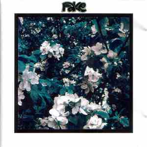 Fake  - Demo 4 FLAC