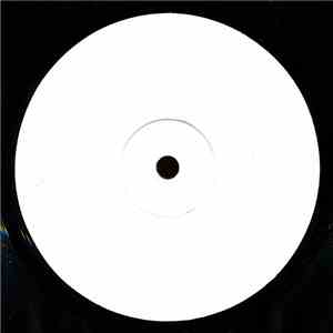 Fatboy Slim Vs The Rolling Stones - Satisfaction Skank Live FLAC