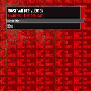 Joost Van Der Vleuten - Beautiful For One Day FLAC