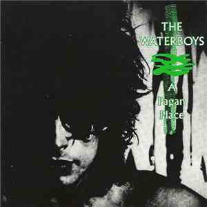 The Waterboys - A Pagan Place FLAC