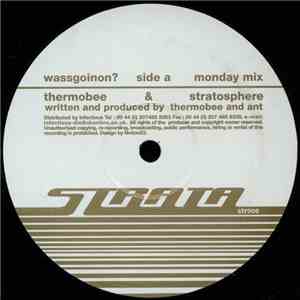 Thermobee & Stratosphere - Wassgoinon? FLAC